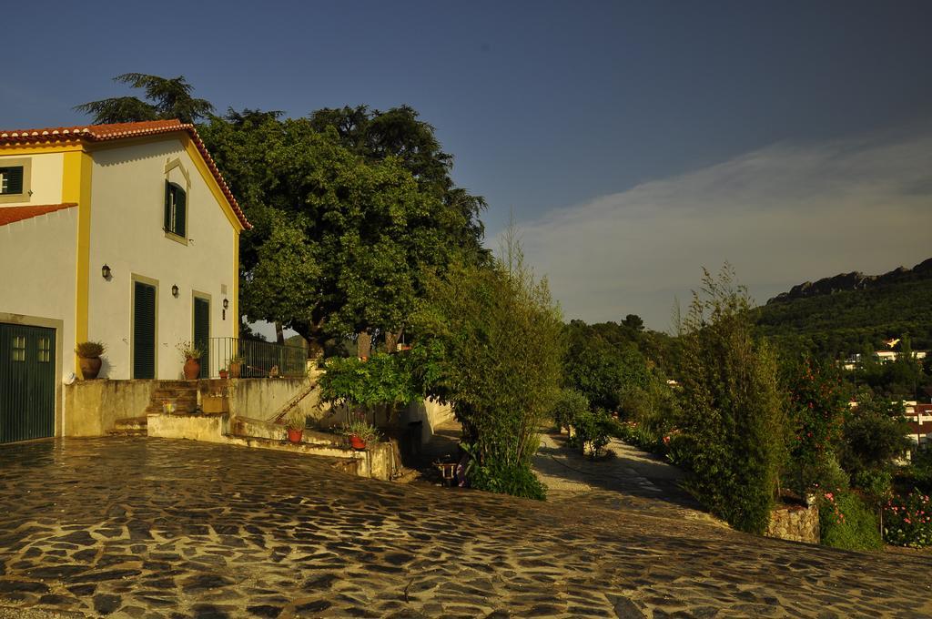 Vila Maria Castelo de Vide Exteriér fotografie